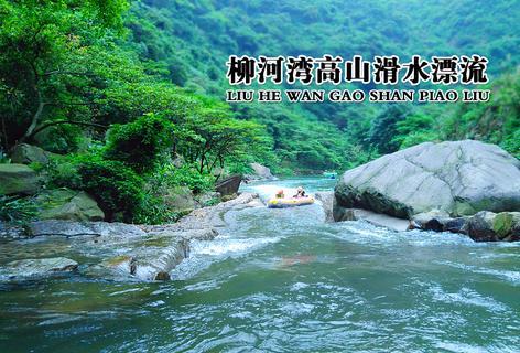 拯救机智男孩